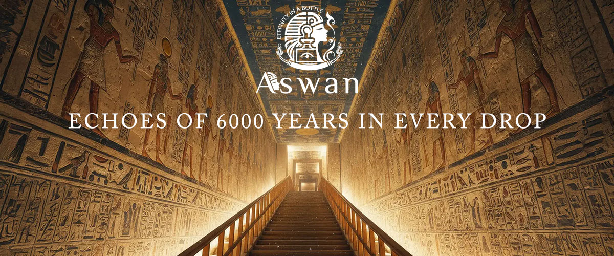 Aswan banner