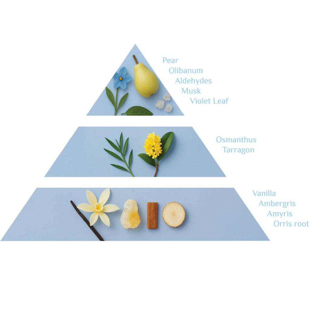 Aswan Nut Duftpyramide